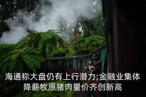 海通稱大盤仍有上行潛力;金融業(yè)集體降薪牧原豬肉量價(jià)齊創(chuàng)新高