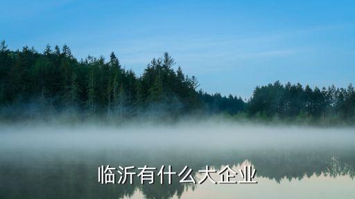 山東江泉實(shí)業(yè)股份有限公司2013年年報(bào)