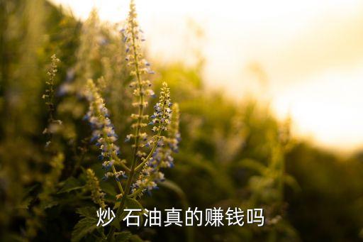 石油投資銷售好做嗎,石油會(huì)展銷售怎么做