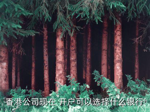 香港公司現(xiàn)在 開(kāi)戶(hù)可以選擇什么銀行