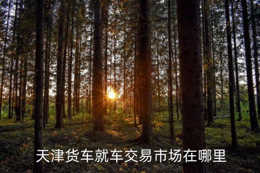  天津貨車就車交易市場(chǎng)在哪里