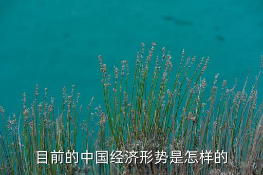 目前的中國(guó)經(jīng)濟(jì)形勢(shì)是怎樣的