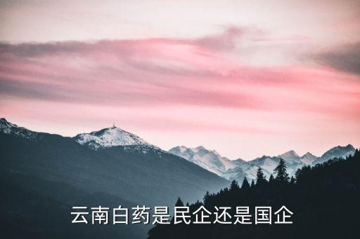 云南白藥集團聯(lián)營企業(yè)有哪些