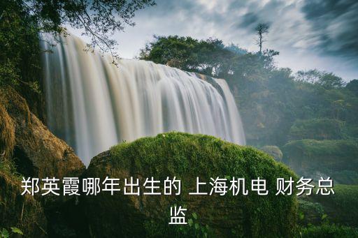 鄭英霞哪年出生的 上海機電 財務(wù)總監(jiān)