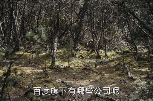 網(wǎng)龍網(wǎng)絡有限公司2013年收益,福建網(wǎng)龍網(wǎng)絡科技有限公司招聘