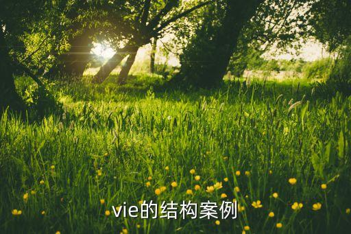 vie的結構案例