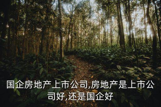 南京國(guó)企房地產(chǎn)上市公司,房地產(chǎn)是上市公司好,還是國(guó)企好