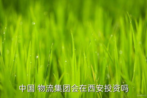 中國 物流集團(tuán)會(huì)在西安投資嗎