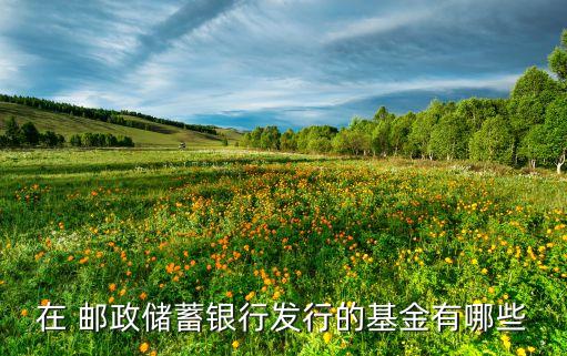 在 郵政儲蓄銀行發(fā)行的基金有哪些