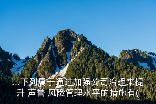 ...下列屬于通過加強公司治理來提升 聲譽 風險管理水平的措施有(