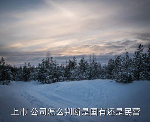  上市 公司怎么判斷是國(guó)有還是民營(yíng)