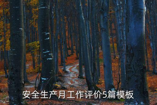 安全生產(chǎn)月工作評價5篇模板