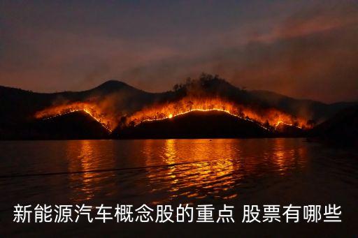 新能源汽車(chē)概念股的重點(diǎn) 股票有哪些