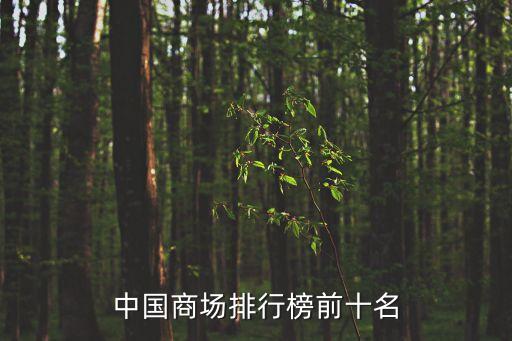 中國(guó)商場(chǎng)排行榜前十名