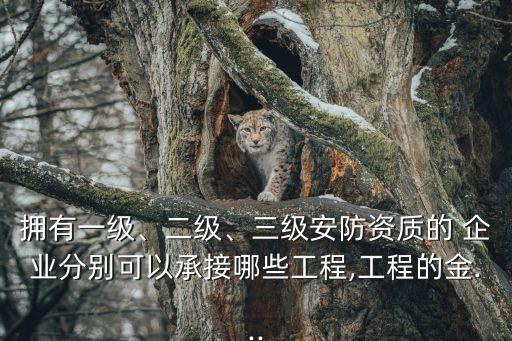 擁有一級、二級、三級安防資質(zhì)的 企業(yè)分別可以承接哪些工程,工程的金...