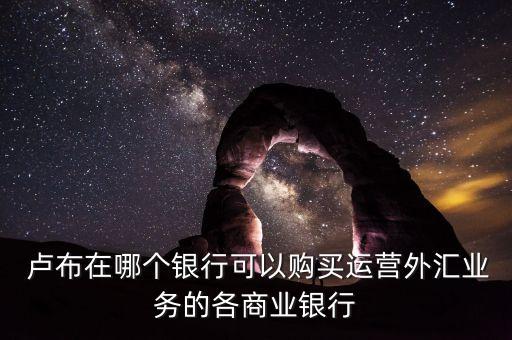  盧布在哪個(gè)銀行可以購(gòu)買運(yùn)營(yíng)外匯業(yè)務(wù)的各商業(yè)銀行