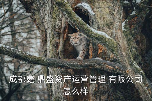 成都鑫 鼎盛資產(chǎn)運(yùn)營(yíng)管理 有限公司怎么樣
