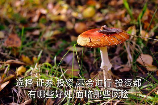 選擇 證券 投資 基金進行 投資都有哪些好處,面臨那些風(fēng)險