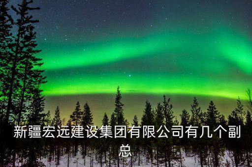  新疆宏遠建設(shè)集團有限公司有幾個副總