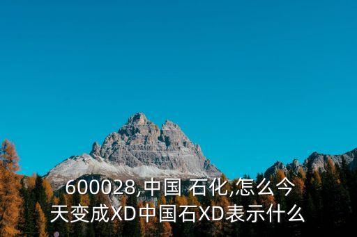 600028中國(guó)石化