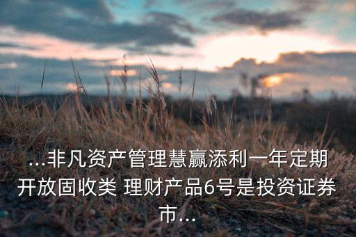 ...非凡資產(chǎn)管理慧贏添利一年定期開(kāi)放固收類(lèi) 理財(cái)產(chǎn)品6號(hào)是投資證券市...