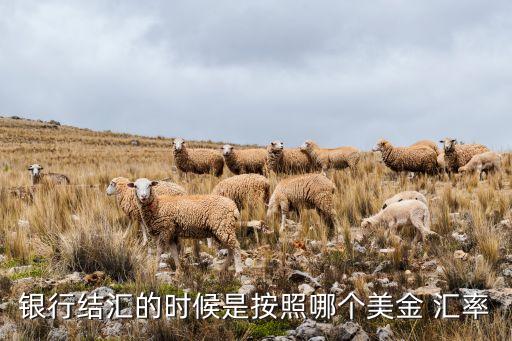 銀行結匯的時候是按照哪個美金 匯率