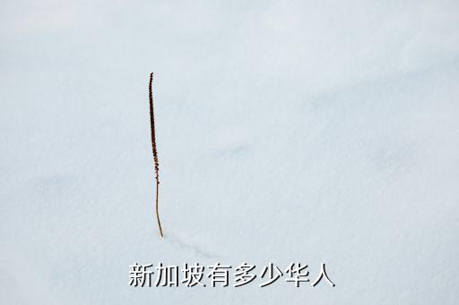 新加坡中國(guó)人口