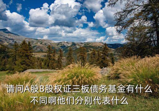 請問A股B股權(quán)證三板債務(wù)基金有什么不同啊他們分別代表什么