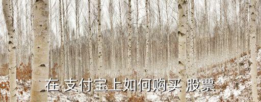 在 支付寶上如何購買 股票