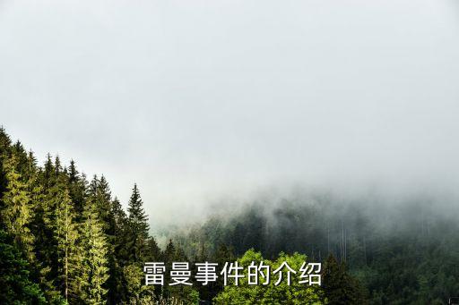 美國雷曼兄弟是銀行嗎,雷曼兄弟相當(dāng)于我們哪個(gè)銀行