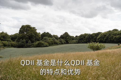 QDII 基金是什么QDII 基金的特點(diǎn)和優(yōu)勢