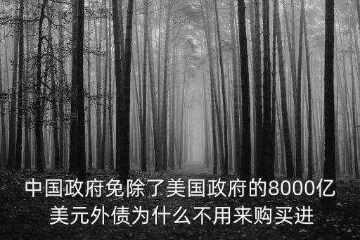 中國(guó)政府免除了美國(guó)政府的8000億 美元外債為什么不用來購(gòu)買進(jìn)