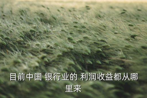 目前中國 銀行業(yè)的 利潤收益都從哪里來
