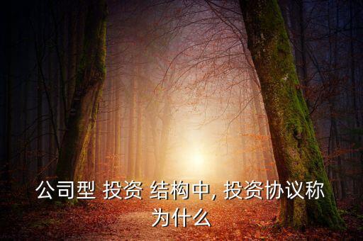 公司型 投資 結(jié)構(gòu)中, 投資協(xié)議稱(chēng)為什么