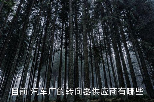 目前 汽車廠的轉(zhuǎn)向器供應(yīng)商有哪些