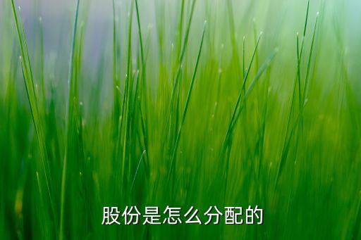 股份采取股票的形式,股票和股份是形式和內容的關系