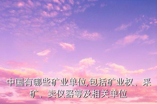 中國有哪些礦業(yè)單位,包括礦業(yè)權(quán)、采礦、賣儀器等及相關單位