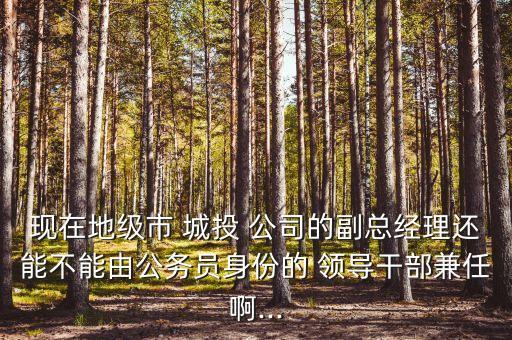 現(xiàn)在地級市 城投 公司的副總經(jīng)理還能不能由公務(wù)員身份的 領(lǐng)導(dǎo)干部兼任啊...