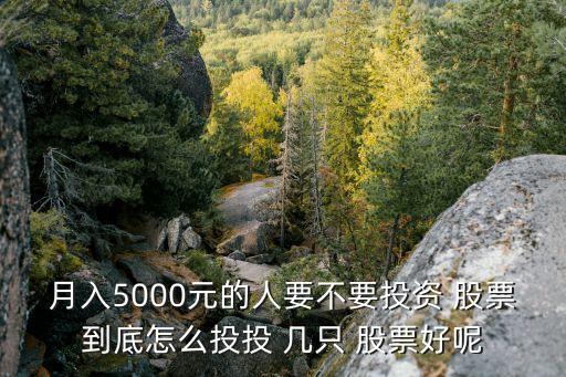 月入5000元的人要不要投資 股票到底怎么投投 幾只 股票好呢