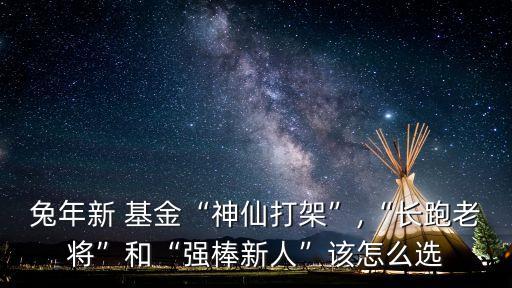 兔年新 基金“神仙打架”,“長(zhǎng)跑老將”和“強(qiáng)棒新人”該怎么選