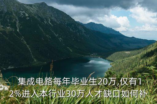 中國集成電路產(chǎn)業(yè)蓄勢待發(fā)