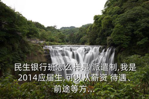  民生銀行班怎么樣是 派遣制,我是2014應(yīng)屆生,可以從薪資 待遇、前途等方...