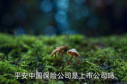 中國(guó)平安2015年總資產(chǎn)