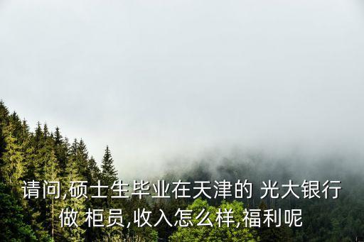 請(qǐng)問,碩士生畢業(yè)在天津的 光大銀行做 柜員,收入怎么樣,福利呢