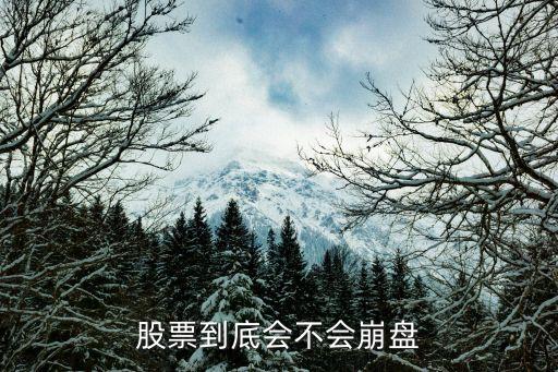 股票到底會不會崩盤