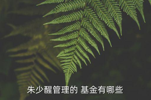 定增產(chǎn)品基金經(jīng)理,每個基金經(jīng)理最多掛幾個產(chǎn)品