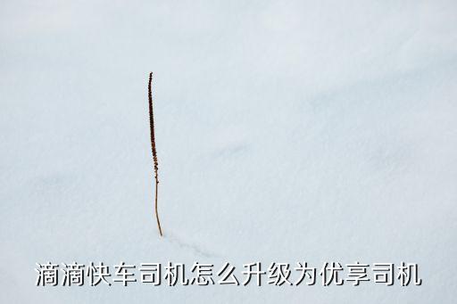 滴滴快車司機(jī)怎么升級(jí)為優(yōu)享司機(jī)