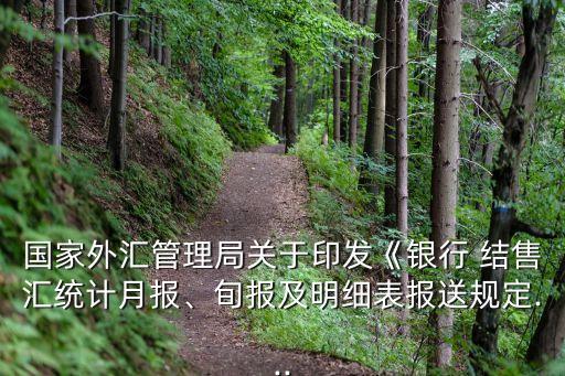 國家外匯管理局關(guān)于印發(fā)《銀行 結(jié)售匯統(tǒng)計(jì)月報(bào)、旬報(bào)及明細(xì)表報(bào)送規(guī)定...