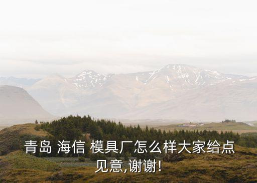  青島 海信 模具廠怎么樣大家給點(diǎn)見(jiàn)意,謝謝!