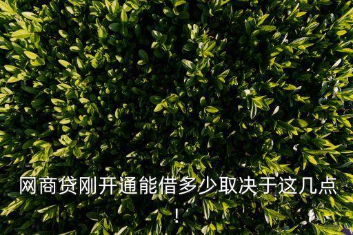  網(wǎng)商貸剛開通能借多少取決于這幾點(diǎn)!